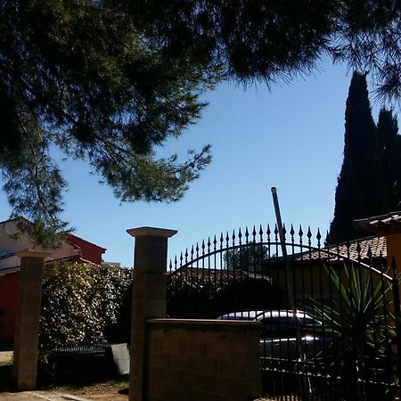 Chambres De La Terre Blanche Sanary-sur-Mer Cameră foto